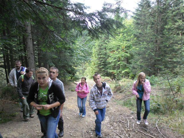 SAM_0390 (2)